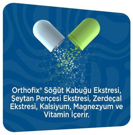 Harekete Özgürlükte En İyi Yardımcınız